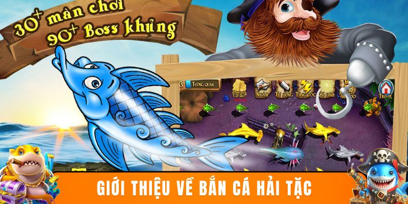 Nhìn nhận tổng quan về Sắn Cá Hải Tặc