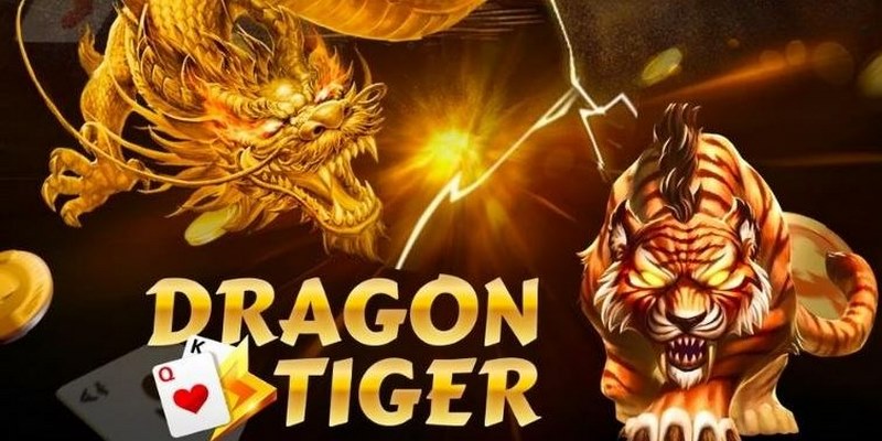 Chiến thuật chơi rồng hổ tăng mạnh tỷ lệ thắng